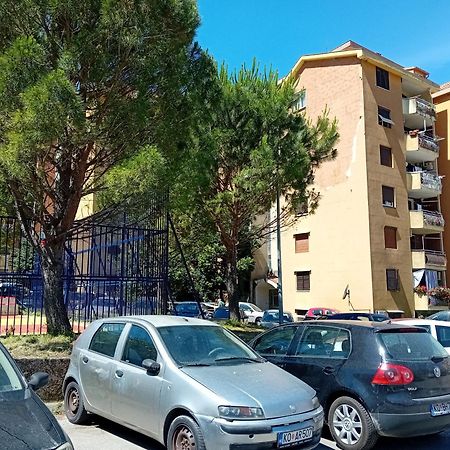 Apartment Maki 科托尔 外观 照片