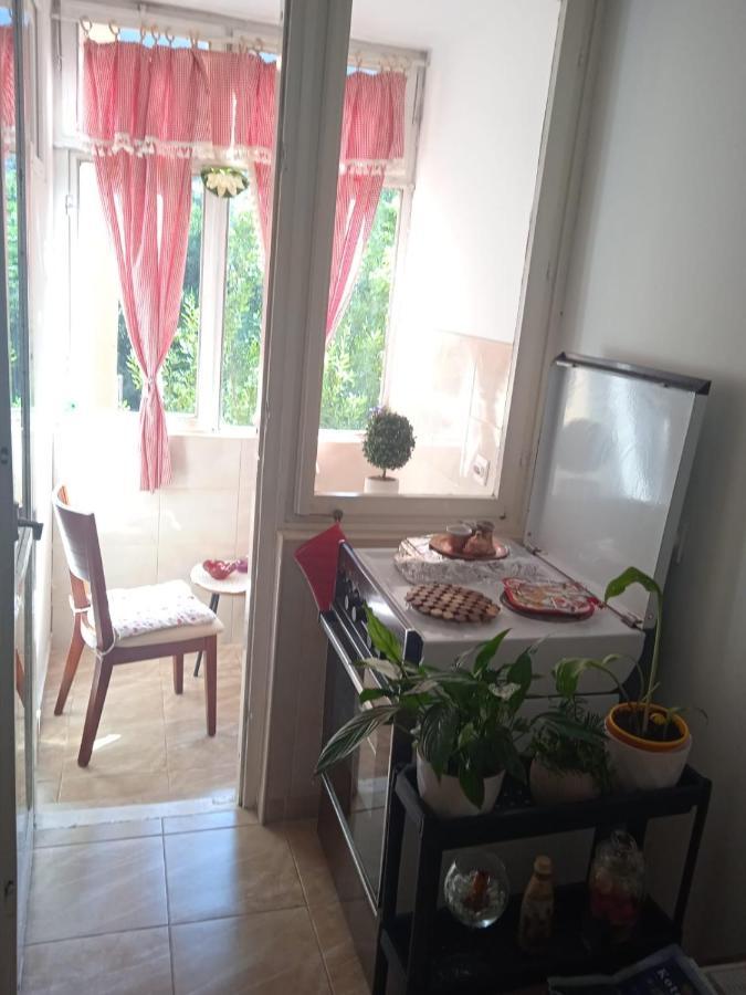 Apartment Maki 科托尔 外观 照片