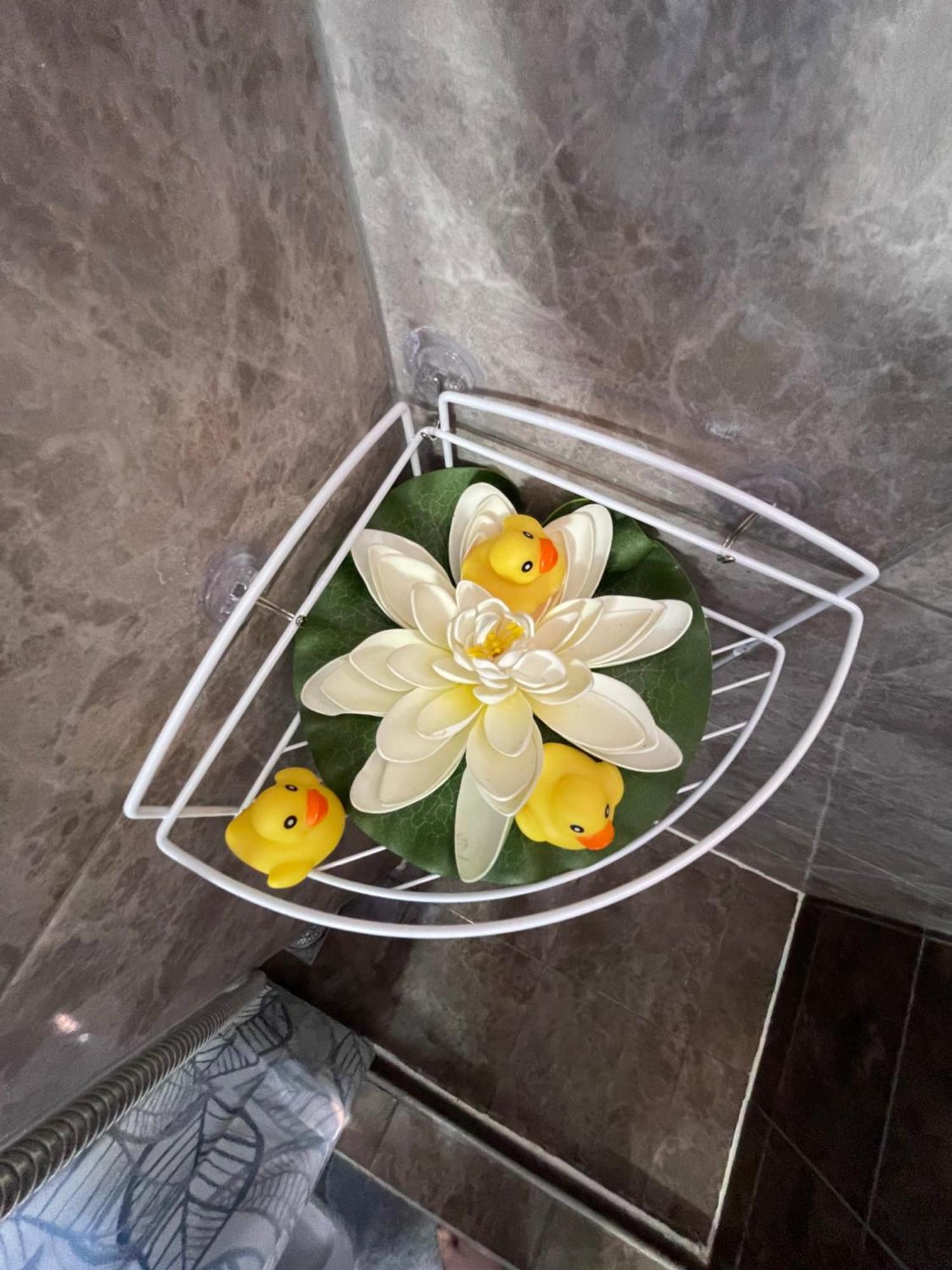 Apartment Maki 科托尔 外观 照片